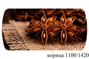 БОСТОН - 3 Стол раздвижной 1100/1420 опоры Брифинг в Камышлове - kamyshlov.ok-mebel.com | фото 19