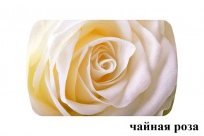 БОСТОН - 3 Стол раздвижной 1100/1420 опоры Брифинг в Камышлове - kamyshlov.ok-mebel.com | фото 46
