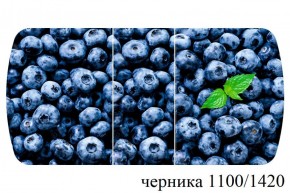 БОСТОН - 3 Стол раздвижной 1100/1420 опоры Триумф в Камышлове - kamyshlov.ok-mebel.com | фото 51