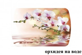 БОСТОН - 3 Стол раздвижной Орхидея на воде 1100/1420 опоры Триумф в Камышлове - kamyshlov.ok-mebel.com | фото 2