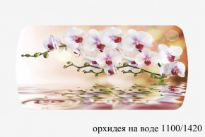 БОСТОН - 3 Стол раздвижной Орхидея на воде 1100/1420 опоры Триумф в Камышлове - kamyshlov.ok-mebel.com | фото 3