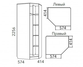 Детская Фанк Шкаф угловой Левый/Правый НМ 013.04-02 М в Камышлове - kamyshlov.ok-mebel.com | фото 3