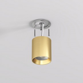 DK2610-SB Накладной светильник SHINE TUBE со светодиодом, D70*H80, IP20, 3000К, 10W, RA?90, сатинированная латунь, алюминий в Камышлове - kamyshlov.ok-mebel.com | фото 3