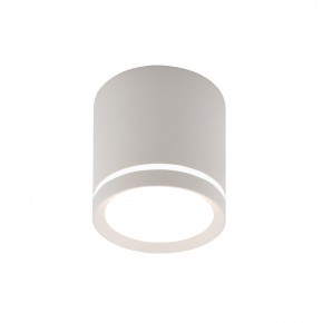 DK4013-WH Светильник накладной IP 20, 5 Вт, LED 4000, белый, алюминий/акрил в Камышлове - kamyshlov.ok-mebel.com | фото