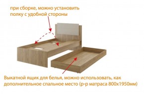 Дуглас (подростковая) М14 Кровать в Камышлове - kamyshlov.ok-mebel.com | фото 5