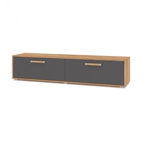ФЛОРИДА Ф31 Тумба ТВ (дуб золотой/графит) в Камышлове - kamyshlov.ok-mebel.com | фото