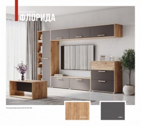 ФЛОРИДА Гостиная (модульная) дуб золотой/графит в Камышлове - kamyshlov.ok-mebel.com | фото