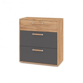 ФЛОРИДА Гостиная (модульная) дуб золотой/графит в Камышлове - kamyshlov.ok-mebel.com | фото 8