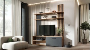 КАРОЛИНА Гостиная в Камышлове - kamyshlov.ok-mebel.com | фото