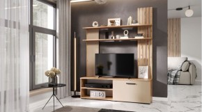 КАРОЛИНА Гостиная (дуб вотан/кашемир) в Камышлове - kamyshlov.ok-mebel.com | фото