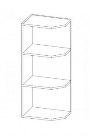 КГ "Агава" ВВТ285 Шкаф навесной торцевой h 900 в Камышлове - kamyshlov.ok-mebel.com | фото
