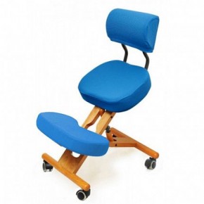 Коленный стул со спинкой Smartstool KW02В + Чехлы в Камышлове - kamyshlov.ok-mebel.com | фото 2