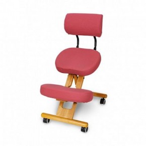 Коленный стул со спинкой Smartstool KW02В + Чехлы в Камышлове - kamyshlov.ok-mebel.com | фото 5