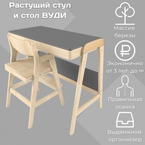 Комплект растущий стол и стул 38 попугаев «Вуди» (Серый, Без покрытия) в Камышлове - kamyshlov.ok-mebel.com | фото