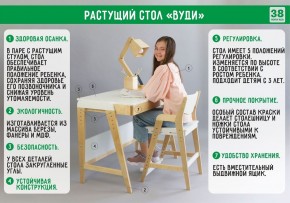 Комплект растущий стол и стул с чехлом 38 попугаев «Вуди» (Серый, Береза, Беж) в Камышлове - kamyshlov.ok-mebel.com | фото