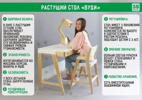 Комплект растущий стол и стул с чехлом 38 попугаев «Вуди» (Серый, Береза, Салют) в Камышлове - kamyshlov.ok-mebel.com | фото