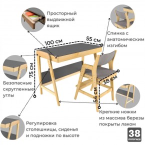 Комплект растущий стол и стул с чехлом 38 попугаев «Вуди» (Серый, Береза, Серый) в Камышлове - kamyshlov.ok-mebel.com | фото