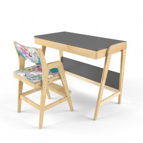 Комплект растущий стол и стул с чехлом 38 попугаев «Вуди» (Серый, Без покрытия, Мечта) в Камышлове - kamyshlov.ok-mebel.com | фото