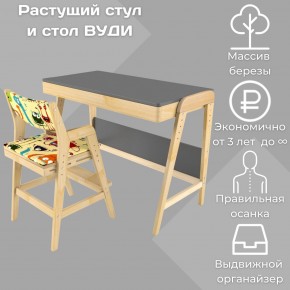 Комплект растущий стол и стул с чехлом 38 попугаев «Вуди» (Серый, Без покрытия, Монстры) в Камышлове - kamyshlov.ok-mebel.com | фото 1
