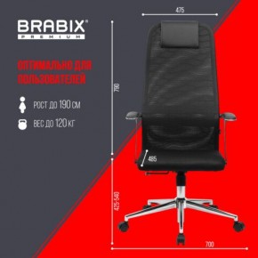 Кресло BRABIX PREMIUM "Ultimate EX-801" хром, плотная двойная сетка Х2, черное, 532917 в Камышлове - kamyshlov.ok-mebel.com | фото 7