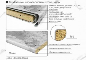 Кухонный фартук со столешницей (А-01) в едином стиле (3050 мм) в Камышлове - kamyshlov.ok-mebel.com | фото 6