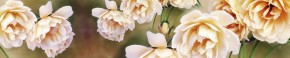 Кухонный фартук Цветы 066 МДФ матовый (3000) Flowers в Камышлове - kamyshlov.ok-mebel.com | фото 1