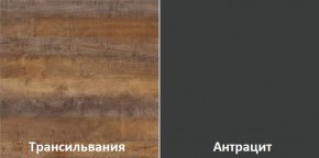 Кухонный гарнитур угловой Трансильвания 2600х1600 мм (Стол. 38 мм) в Камышлове - kamyshlov.ok-mebel.com | фото 3