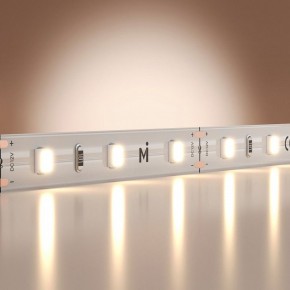 Лента светодиодная Maytoni Base 201163 в Камышлове - kamyshlov.ok-mebel.com | фото 2