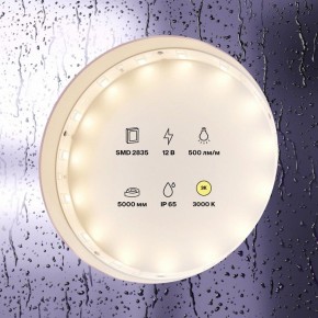 Лента светодиодная Maytoni Led strip 10105 в Камышлове - kamyshlov.ok-mebel.com | фото 2