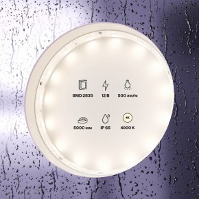 Лента светодиодная Maytoni Led strip 10106 в Камышлове - kamyshlov.ok-mebel.com | фото 3
