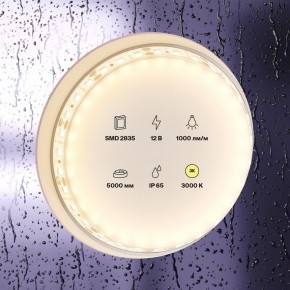 Лента светодиодная Maytoni Led strip 10111 в Камышлове - kamyshlov.ok-mebel.com | фото 3
