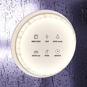 Лента светодиодная Maytoni Led strip 10112 в Камышлове - kamyshlov.ok-mebel.com | фото 2