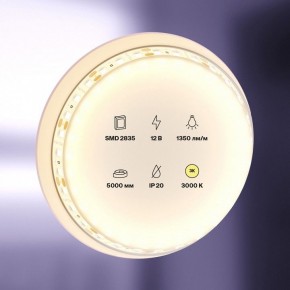 Лента светодиодная Maytoni Led strip 10114 в Камышлове - kamyshlov.ok-mebel.com | фото 2