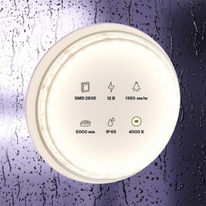 Лента светодиодная Maytoni Led strip 10118 в Камышлове - kamyshlov.ok-mebel.com | фото 2