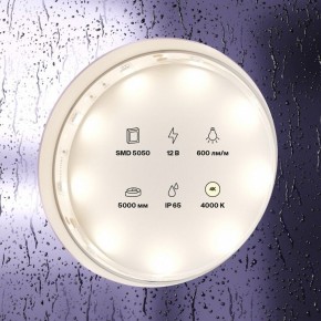 Лента светодиодная Maytoni Led strip 10124 в Камышлове - kamyshlov.ok-mebel.com | фото 3