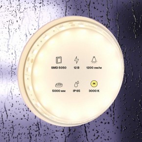 Лента светодиодная Maytoni Led strip 10131 в Камышлове - kamyshlov.ok-mebel.com | фото 2