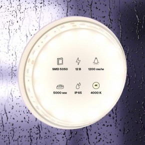 Лента светодиодная Maytoni Led strip 10132 в Камышлове - kamyshlov.ok-mebel.com | фото 2