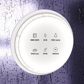 Лента светодиодная Maytoni Led strip 10153 в Камышлове - kamyshlov.ok-mebel.com | фото 2