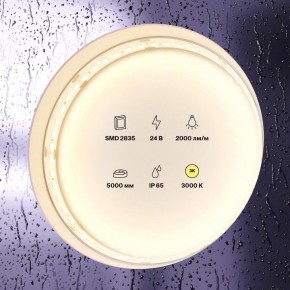 Лента светодиодная Maytoni Led strip 10157 в Камышлове - kamyshlov.ok-mebel.com | фото 2