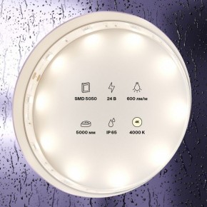 Лента светодиодная Maytoni Led strip 10164 в Камышлове - kamyshlov.ok-mebel.com | фото 2