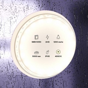Лента светодиодная Maytoni Led strip 10172 в Камышлове - kamyshlov.ok-mebel.com | фото 2