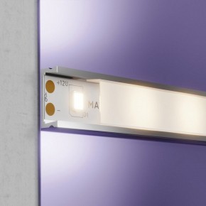 Лента светодиодная Maytoni Led strip 20002 в Камышлове - kamyshlov.ok-mebel.com | фото 3