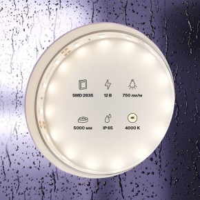 Лента светодиодная Maytoni Led strip 20005 в Камышлове - kamyshlov.ok-mebel.com | фото 2