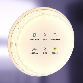 Лента светодиодная Maytoni Led strip 20031 в Камышлове - kamyshlov.ok-mebel.com | фото 2
