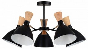 Люстра на штанге EVOLUCE VISTA SLE1256-402-05 в Камышлове - kamyshlov.ok-mebel.com | фото