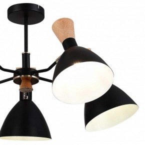 Люстра на штанге EVOLUCE VISTA SLE1256-402-05 в Камышлове - kamyshlov.ok-mebel.com | фото 10