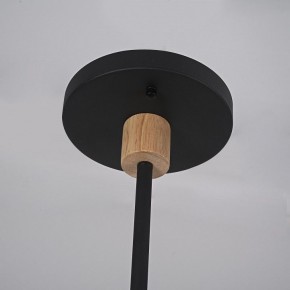 Люстра на штанге Imperiumloft TURNA Black TURNA-DBL01 в Камышлове - kamyshlov.ok-mebel.com | фото 9