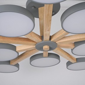 Люстра на штанге Imperiumloft TURNA Gray TURNA-B01 в Камышлове - kamyshlov.ok-mebel.com | фото 10