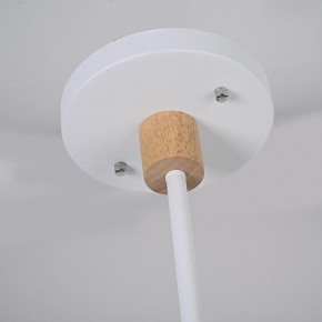 Люстра на штанге Imperiumloft TURNA White TURNA-DBL01 в Камышлове - kamyshlov.ok-mebel.com | фото 7