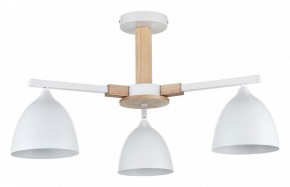 Люстра на штанге Lumion Colange 8095/3C в Камышлове - kamyshlov.ok-mebel.com | фото